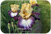 Margin Call