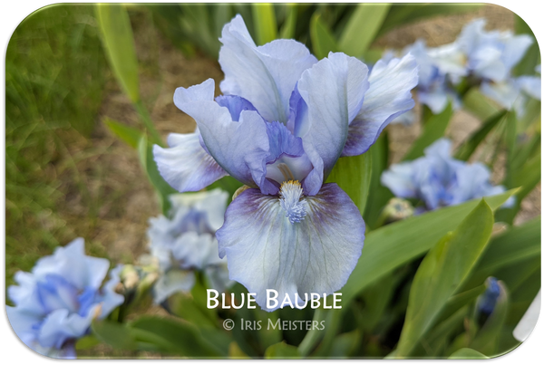 Blue Bauble