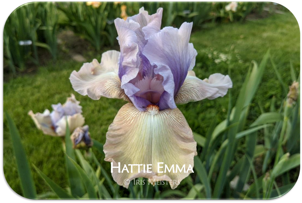 Hattie Emma