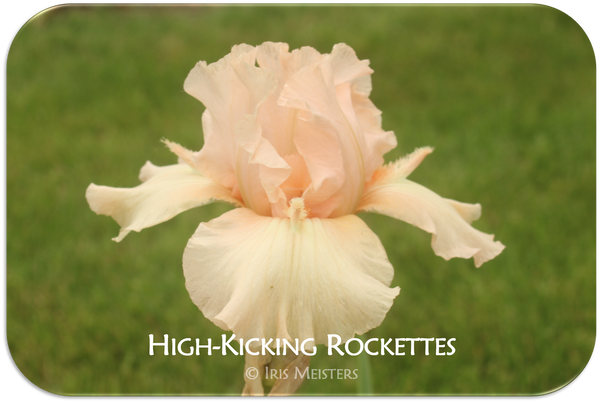 High-Kicking Rockettes