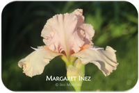 Margaret Inez